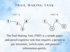 Trail Making Task Worksheets (30 Worksheets) - Attention