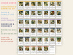 Dementia Reminiscence Cards (40) — Illustrated Conversation Prompts