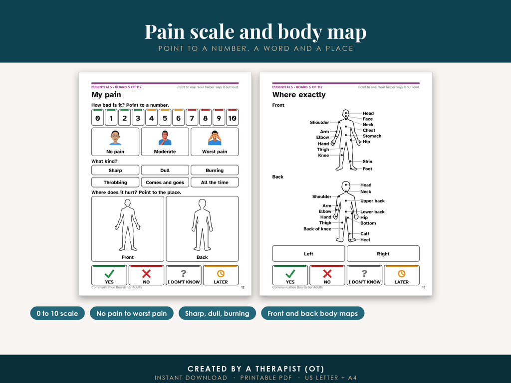 The pain board with its 0 to 10 scale next to the Where exactly body map page