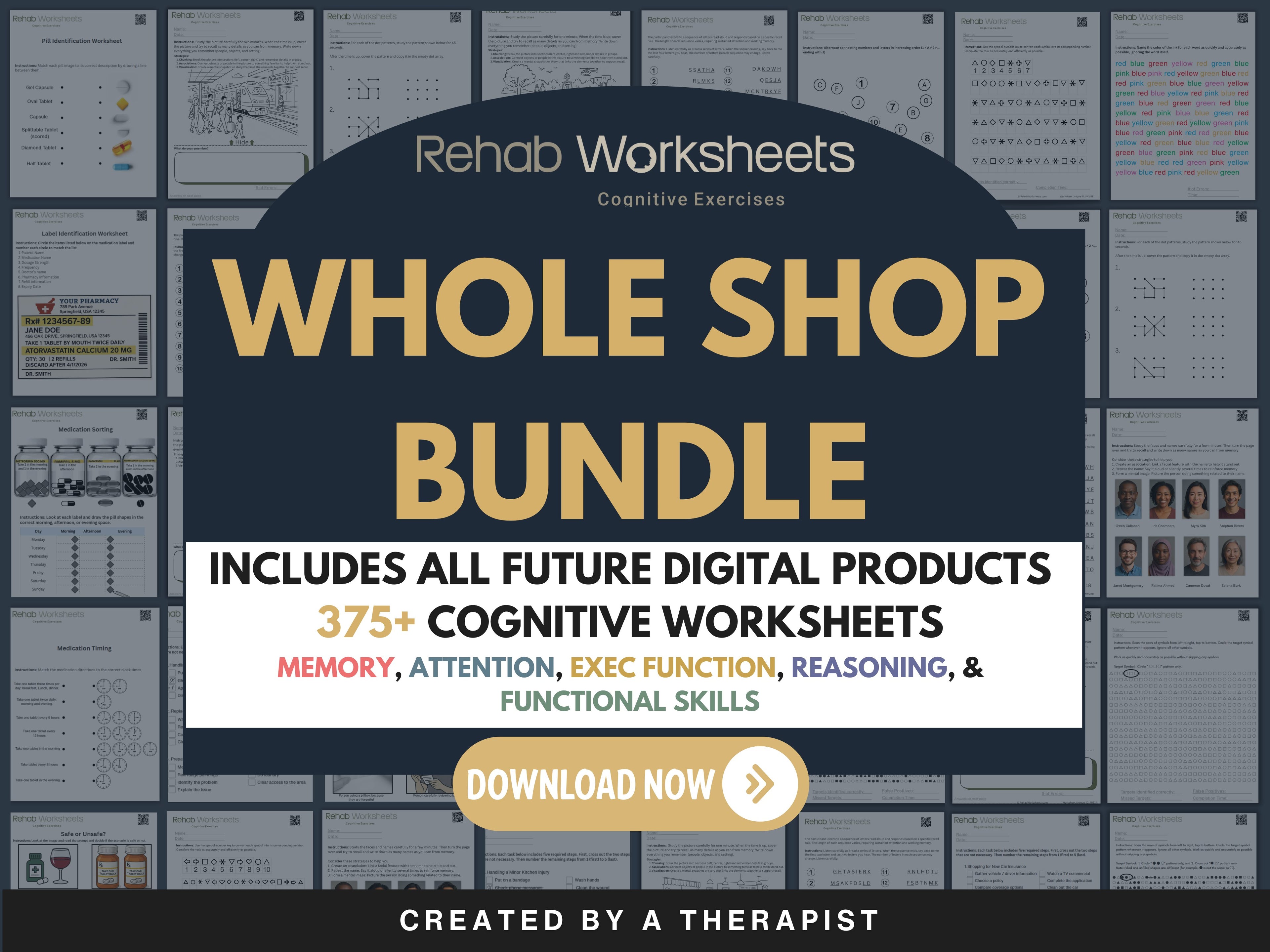 Entire Shop Mega Bundle (Digital) - All Digital Downloads in One Product - Rehab Worksheets